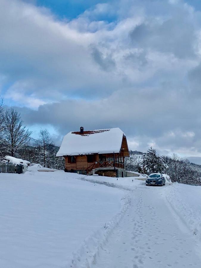 Villa Reset Zlatibor Luaran gambar